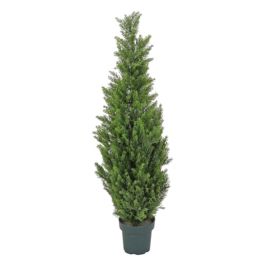 50" Cedar Tree